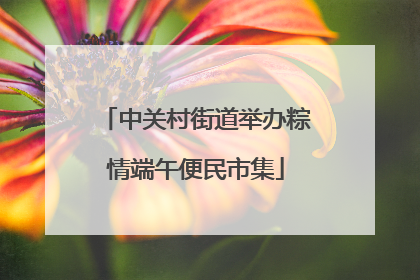 中关村街道举办粽情端午便民市集