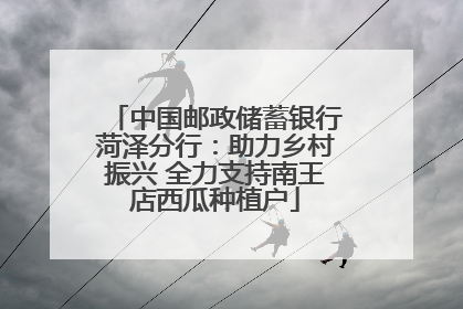 中国邮政储蓄银行菏泽分行：助力乡村振兴 全力支持南王店西瓜种植户