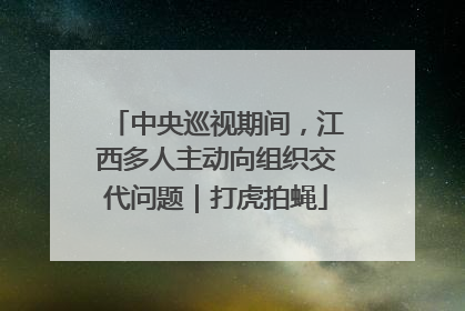 中央巡视期间，江西多人主动向组织交代问题｜打虎拍蝇