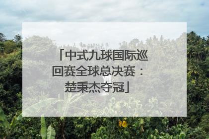 中式九球国际巡回赛全球总决赛：楚秉杰夺冠