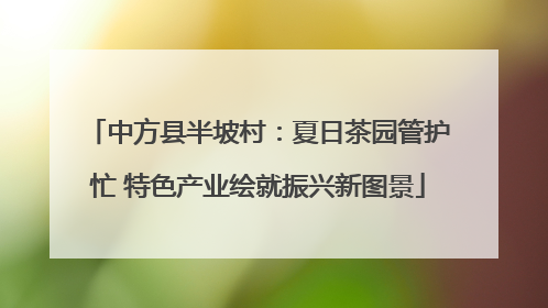 中方县半坡村：夏日茶园管护忙 特色产业绘就振兴新图景