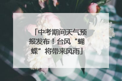 中考期间天气预报发布！台风“蝴蝶”将带来风雨