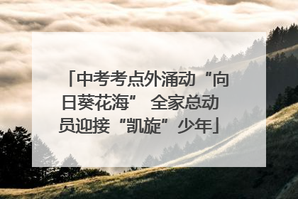 中考考点外涌动“向日葵花海” 全家总动员迎接“凯旋”少年