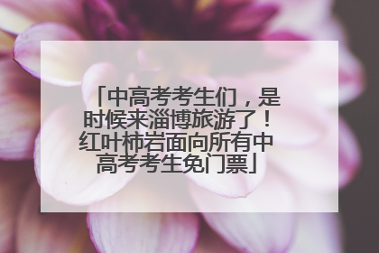 中高考考生们，是时候来淄博旅游了！红叶柿岩面向所有中高考考生免门票