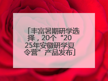 丰富暑期研学选择，20个“2025年安徽研学夏令营”产品发布