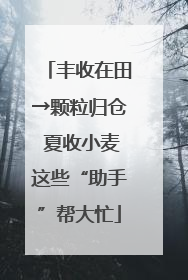 丰收在田→颗粒归仓 夏收小麦这些“助手”帮大忙
