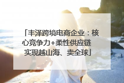 丰泽跨境电商企业：核心竞争力+柔性供应链 实现越山海、卖全球
