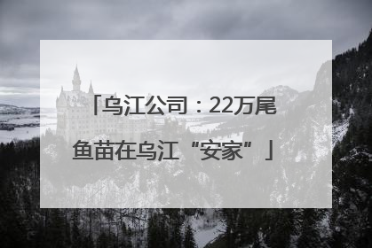 乌江公司：22万尾鱼苗在乌江“安家”