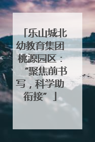 乐山城北幼教育集团桃源园区：“聚焦前书写，科学助衔接”