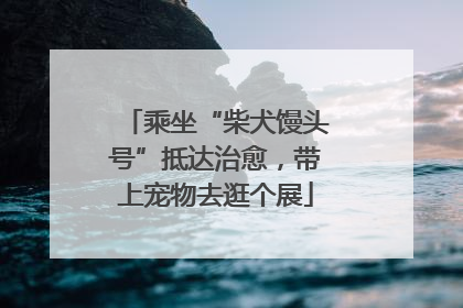 乘坐“柴犬馒头号”抵达治愈，带上宠物去逛个展