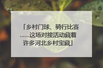 乡村门球、骑行比赛……这场对接活动藏着许多河北乡村宝藏