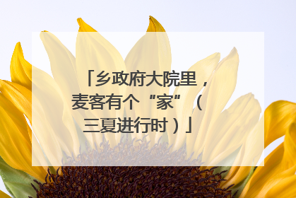 乡政府大院里，麦客有个“家”（三夏进行时）