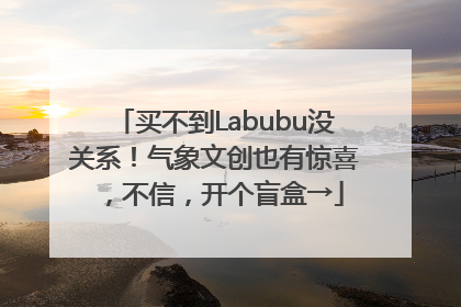 买不到Labubu没关系！气象文创也有惊喜，不信，开个盲盒→