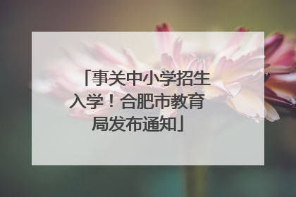 事关中小学招生入学！合肥市教育局发布通知