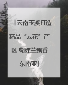 云南玉溪打造精品“云花”产区 蝴蝶兰飘香东南亚