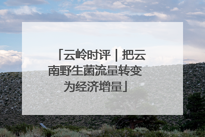 云岭时评｜把云南野生菌流量转变为经济增量