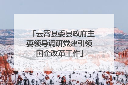 云霄县委县政府主要领导调研党建引领国企改革工作