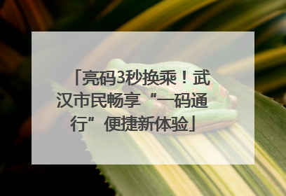 亮码3秒换乘！武汉市民畅享“一码通行”便捷新体验