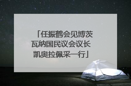 任振鹤会见博茨瓦纳国民议会议长凯奥拉佩采一行