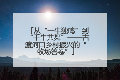 从“一牛独鸣”到“千牛共舞”——古渡河口乡村振兴的“牧场答卷”