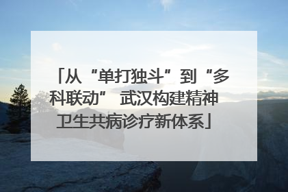 从“单打独斗”到“多科联动” 武汉构建精神卫生共病诊疗新体系