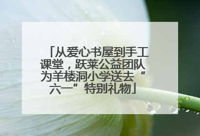 从爱心书屋到手工课堂，跃莱公益团队为羊楼洞小学送去“六一”特别礼物