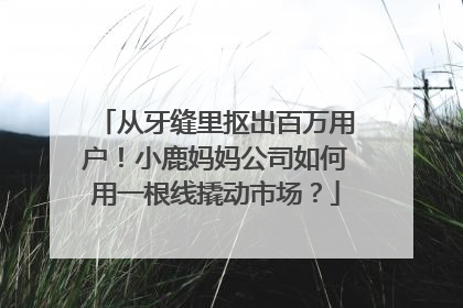 从牙缝里抠出百万用户！小鹿妈妈公司如何用一根线撬动市场？