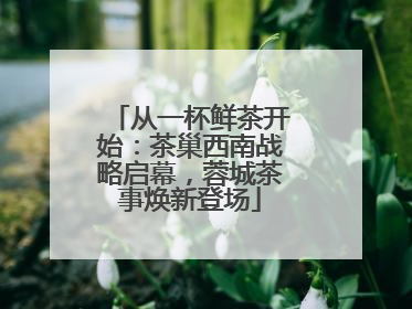 从一杯鲜茶开始：茶巢西南战略启幕，蓉城茶事焕新登场