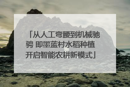 从人工弯腰到机械驰骋 即墨蓝村水稻种植开启智能农耕新模式