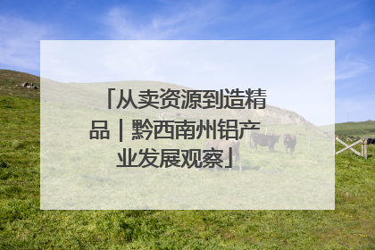 从卖资源到造精品｜黔西南州铝产业发展观察