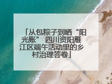 从包粽子到晒“阳光账” 四川资阳雁江区端午活动里的乡村治理答卷