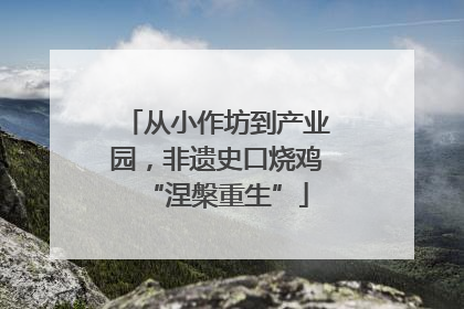 从小作坊到产业园，非遗史口烧鸡“涅槃重生”