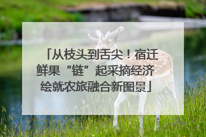 从枝头到舌尖！宿迁鲜果“链”起采摘经济绘就农旅融合新图景