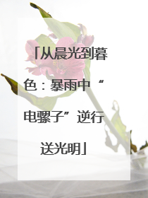 从晨光到暮色：暴雨中“电骡子”逆行送光明