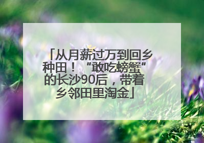 从月薪过万到回乡种田！“敢吃螃蟹”的长沙90后，带着乡邻田里淘金