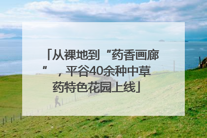 从裸地到“药香画廊”，平谷40余种中草药特色花园上线