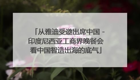 从雅迪受邀出席中国－印度尼西亚工商界晚餐会看中国智造出海的底气