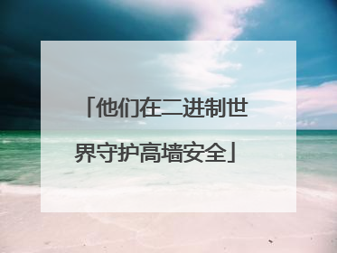 他们在二进制世界守护高墙安全