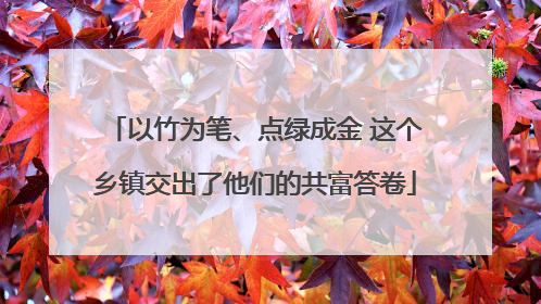 以竹为笔、点绿成金 这个乡镇交出了他们的共富答卷