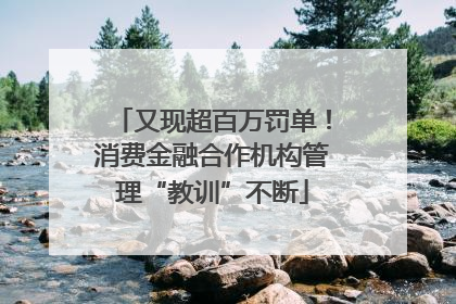 又现超百万罚单！消费金融合作机构管理“教训”不断