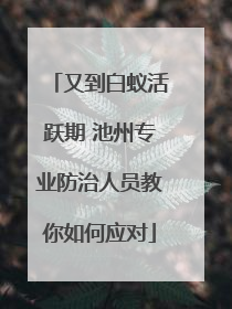又到白蚁活跃期 池州专业防治人员教你如何应对