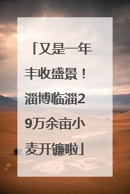 又是一年丰收盛景！淄博临淄29万余亩小麦开镰啦