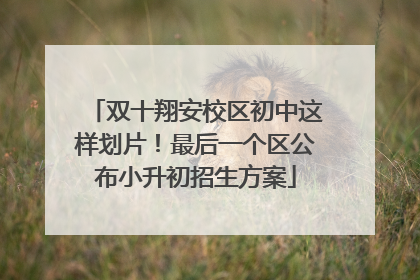 双十翔安校区初中这样划片！最后一个区公布小升初招生方案