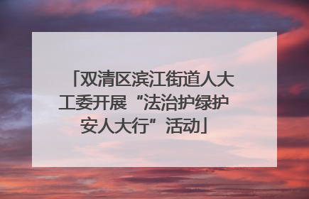 双清区滨江街道人大工委开展“法治护绿护安人大行”活动