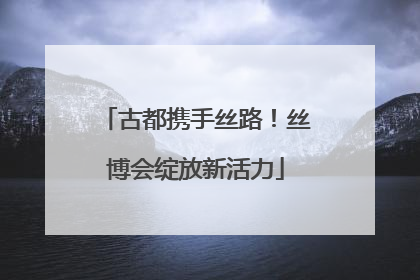古都携手丝路！丝博会绽放新活力