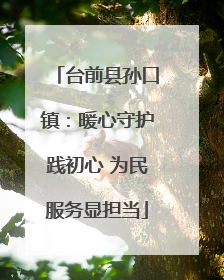 台前县孙口镇：暖心守护践初心 为民服务显担当