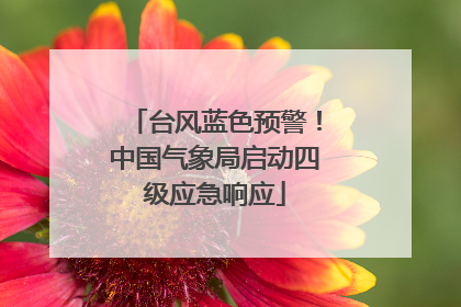 台风蓝色预警！中国气象局启动四级应急响应