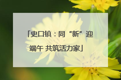史口镇：同“新”迎端午 共筑活力家