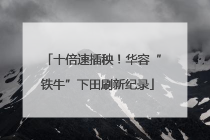 十倍速插秧！华容“铁牛”下田刷新纪录