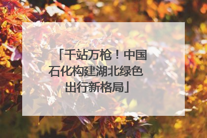 千站万枪！中国石化构建湖北绿色出行新格局
